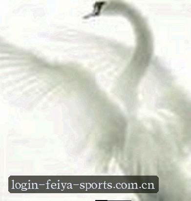 张鹏